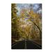 Winston Porter Autumn Along the Valley Parkway 2 by Kurt Shaffer - Photograph Print on Canvas in Green | 19 H x 12 W x 2 D in | Wayfair