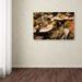 Millwood Pines Mushrooms in the Leaves by Kurt Shaffer - Photograph Print on Canvas in White | 30 H x 47 W x 2 D in | Wayfair KS01041-C3047GG