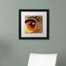 Wrought Studio™ Eye 1 by Roderick Stevens - Picture Frame Print on Canvas Canvas | 16 H x 16 W x 0.5 D in | Wayfair RS1000-B1616MF