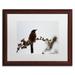August Grove® Guardian by Monica Mize - Picture Frame Photograph Print on Canvas Canvas | 16 H x 20 W x 0.5 D in | Wayfair MF147-W1620MF