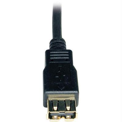 Tripp Lite USB 2.0 Extension Cable - U024-010
