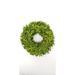 The Holiday Aisle® Preserved ery Wreath in Green | 14 H x 14 W x 2.25 D in | Wayfair 7FC848775DE947858BBDDEC1A2EB4BA3
