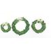 The Holiday Aisle® Preserved 3 Piece 10" ery Wreath Set in Green | 10 H x 10 W x 3 D in | Wayfair 6FEAE331610C4DFEADDF71C0C49A2524