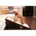 Tucker Murphy Pet™ Octavia Collapsible 33.5" Pet Ramp Wood in Black/Brown/Gray | 20.24 H x 15.98 W x 33.5 D in | Wayfair PTR0011710800