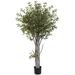 Charlton Home® 72" Artificial Olive Tree in Planter Silk/Plastic | 72 H x 40 W x 40 D in | Wayfair D5AAE73D67784D37A1E477E5A00814A1