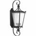 Fleur De Lis Living Alexandra Black Seeded Glass Outdoor Wall Lantern Aluminum/Metal in Black/Gray | 24.75 H x 8 W x 9.25 D in | Wayfair