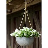 Latitude Run® Pollyanna Self-Watering Resin Hanging Planter Resin/Plastic/Stone in Gray | 6.75 H x 12 W x 12 D in | Wayfair