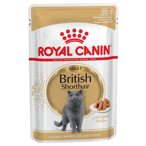 24x85g British Shorthair Royal Canin Katzenfutter