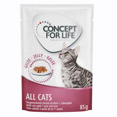 48x85g All Cats in Gelee Concept for Life Katzenfutter nass