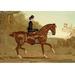 Buyenlarge Book of the Horse by Samuel Sidney Painting Print in Brown/Green | 24 H x 36 W x 1.5 D in | Wayfair 0-587-06558-3C2436