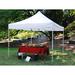 King Canopy 10 Ft. W x 10 Ft. D Metal Pop-Up Canopy Aluminum/Metal/Soft-top in Gray/White, Size 120.0 H x 120.0 W x 120.0 D in | Wayfair TTSHAL10WH