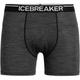 Icebreaker Herren Anatomica Boxer (Größe L, grau)