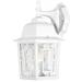 Nuvo Lighting 63484 - 1 Light 12" White Clear Water Glass Shade Wall Lantern (Banyan 1 Lt 12 Outdoor Wall)