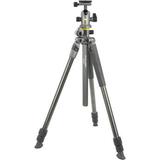 Vanguard Alta Pro 2+ Carbon Fiber Tripod with BH-100 Ball Head ALTA PRO 2+ 263CB 100