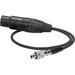 Ambient Recording Balanced 3-Pin XLR Female to 3-Pin LEMO Adapter Cable (10") AK-XLR3F-L3
