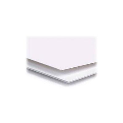 Archival Methods 4-Ply Pearl White Conservation Mat Board (22 x 28