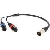 Remote Audio CAXSTEX5M 5-Pin XLR Male to Dual 3-Pin XLR Female Stereo Cable (18") CAXSTEX5M