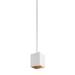 Visual Comfort Modern Collection Exo 5 Inch LED Mini Pendant - 700TDEXOP63630WG-LED930