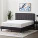 Twin Firm 10" Gel/Foam Mattress - Lucid Comfort Collection 10”Gel Memory Foam Medium Feel | 79 H x 38 W 10 D in Wayfair LUCC10TX45MF