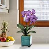 Willa Arlo™ Interiors Footed Phaleanopsis Orchids Floral Arrangement in Pot Polyester in Indigo | 18 H x 6.5 W x 5 D in | Wayfair
