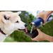 Mobile Dog Gear Bowl Metal/Stainless Steel (easy to clean) in Blue | 10.25 H x 3 W x 3 D in | Wayfair MDG03-25