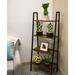 Costa Farms Bamboo Plant in Planter | 16 H x 6 D in | Wayfair CO.MLB.4D.UP