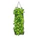 Touch of ECO Organic Hanging Jalapeno Pepper Growing Kit, Nylon in Black | 24 H x 3 D in | Wayfair 6076-6002-4112