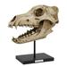 Winston Porter Abital Dire Wolf Skull Sculpture Resin in Black/Brown | 12.25 H x 6.75 W x 7 D in | Wayfair CD55D681479444A98481791E4F1AD848