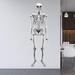 Ebern Designs Skeleton Peel & Stick Spooky Wall Decal Vinyl in White | 36 H x 12 W in | Wayfair 4726D7D8BB694ECDACA3A927DC1EA982