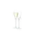 LSA International Wine Prosecco Glass 250 ml Clear | Set of 2 | Mouthblown and Handmade Glass | WI54