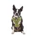 Olive Padded Step-In Dog Harness, X-Small, Green