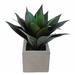 Loon Peak® 7" Artificial Succulent Plant in Planter Ceramic/Plastic | 14 H x 6 W x 6 D in | Wayfair A964F78CD9E14C7699423B6BEFB772EB