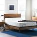 White Noise 15" Zero Gravity Adjustable Bed w/ Wireless Remote, Latex | 15 H x 59.5 W x 79.5 D in | Wayfair LDER1601 41750037