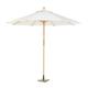 Parasol en bois d.300 mât mm.40 meubles de piscine d'extérieur Fraschetti