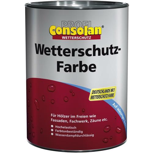 Wetterschutzfarbe 10 l grau 202 Farbe Wetterschutz Holzfarbe Deckfarbe – Consolan