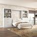 Wade Logan® Arlex Storage Murphy Platform Bed Wood in White | 83.7 H x 130.2 W in | Wayfair 96E6CFB5148E452EBF5B5FEA530FB36C