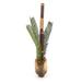Bayou Breeze 29.5" Artificial Palm Plant in Decorative Vase Glass/Plastic | 40 H x 16 W x 12 D in | Wayfair C8569CEBFFB049FDAF5D1842EC3DB3C3
