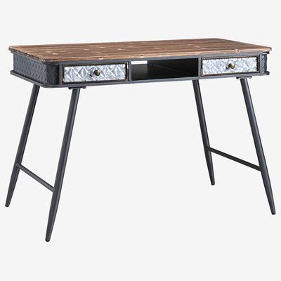 Forester Collection Desk with 2 Drawers by 4D Concepts in Multi