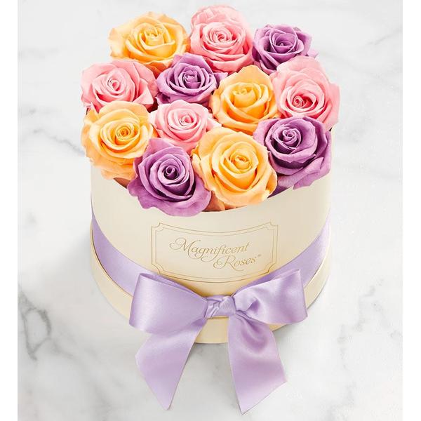 1-800-flowers-flower-delivery-magnificent-roses-preserved-sorbet-roses-magnificent-roses-classic-sorbet/