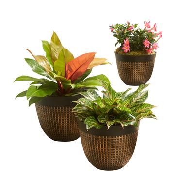 Set of 3 Waffle-Finish Planters by BrylaneHome in Bronze