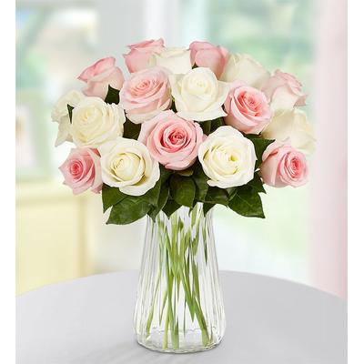 1-800-Flowers Flower Delivery May Rose Of The Month Pink & White W/ Clear Vase