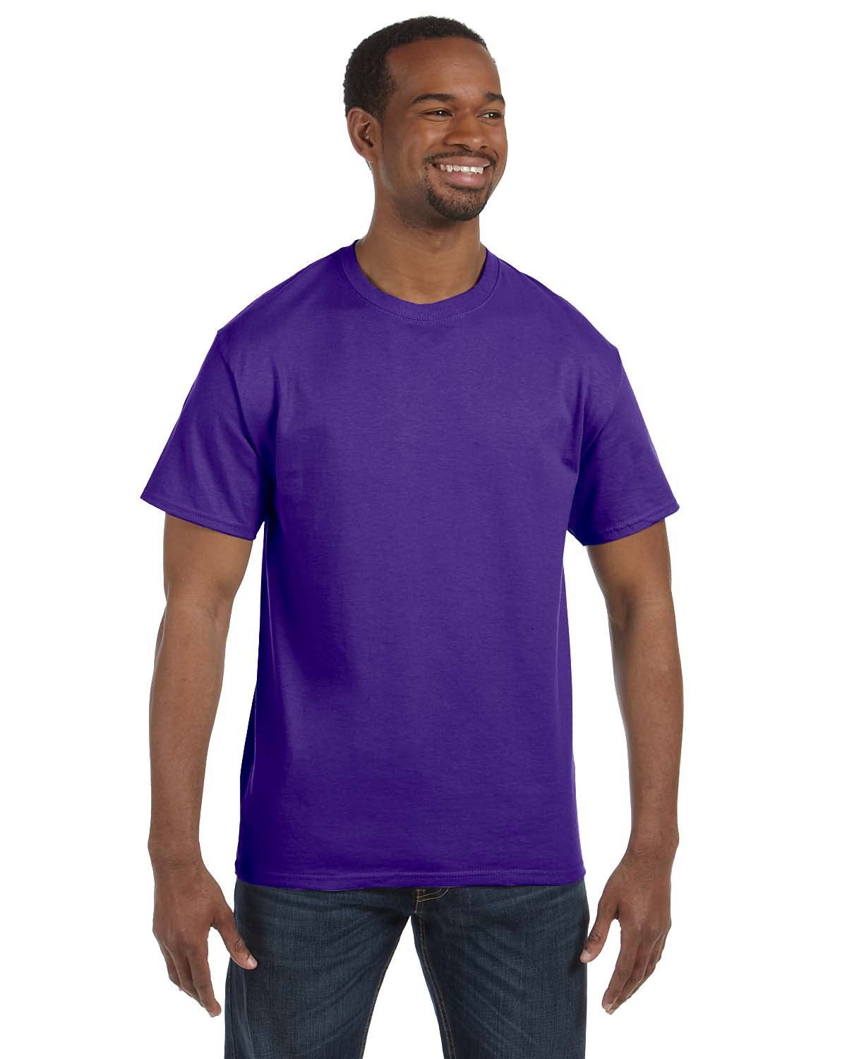 Hanes 5250T Men's Authentic-T T-Shirt in Purple size Small | Cotton 5250