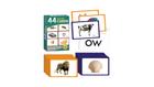 Junior Learning Printed Flash Cards - 44-Ct. Sound Card Set