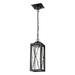 Gracie Oaks Apison 1 -Bulb 15.75" H Outdoor Hanging Lantern Metal in Black | 15.75 H x 5.5 W x 5.5 D in | Wayfair E267DC13D5504B49862A441AAF567376