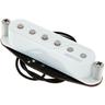 Fishman Fluence SSP Single Width