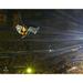 Gnash Nashville Predators Unsigned Pregame Rappelling Entrance Photograph