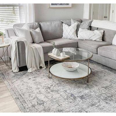 Orrick 5'3" x 7'3" Traditional Light Gray/Cream/Blue/Dark Brown/Ice Blue Area Rug - Hauteloom