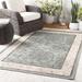 Montross 2'5" x 4'5" Traditional Black/Dusty Sage/Light Beige/Light Brown/Beige/Brown/Medium Gray/Dark Red Outdoor Area Rug - Hauteloom