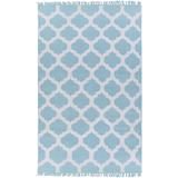 Moosup 2' x 3' Indoor / Outdoor Flat Weave Moroccan Trellis Aqua/Cream Area Rug - Hauteloom