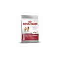 Royal Canin - Nourriture que Medium Dermacomfort Moyen taille chiens (soins de la peau) - 3kg